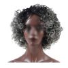 Black Grey Afro Short Curly Wigs Fluffy Wavy Synthetic Hair Wig 2Tone Natural Looking Full Wigs,12 inch